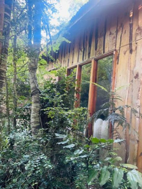Hermosa Cabaña en el bosque